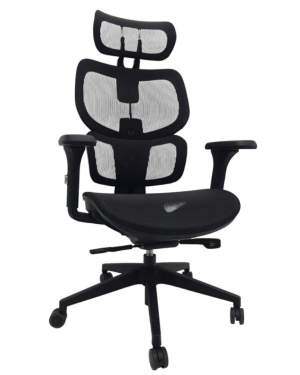 Silla Ergonómica Regulable con Apoyo Lumbar Prominente