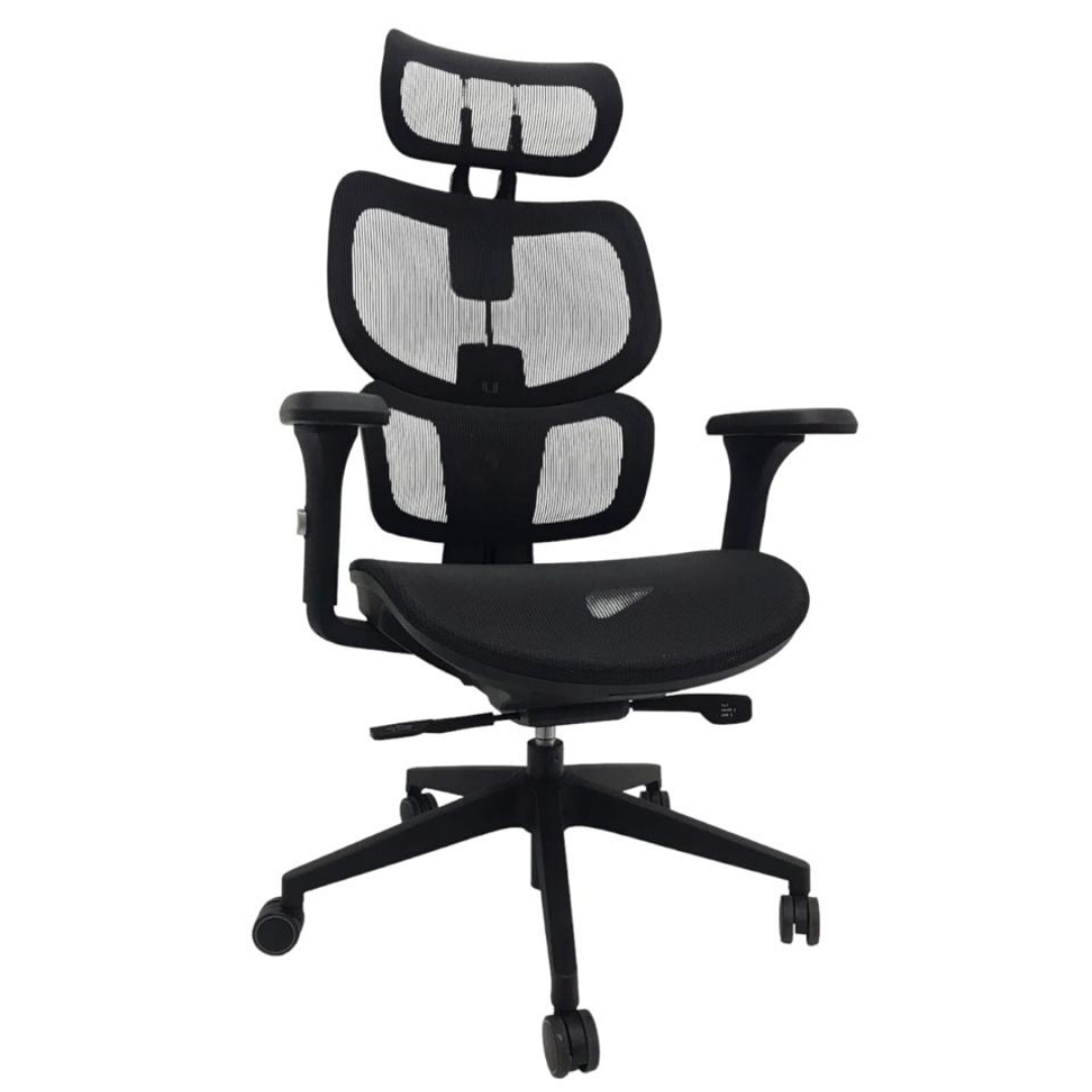 Silla Ergonómica Regulable con Apoyo Lumbar Prominente